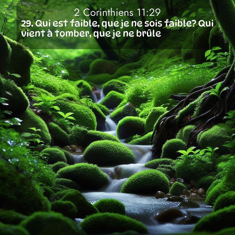 image nature avec verset biblique de la Bible