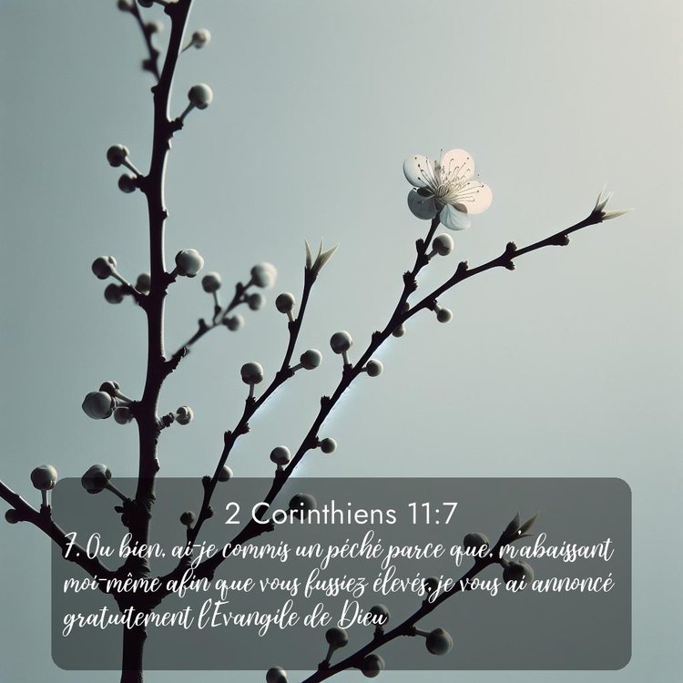 image nature avec verset biblique de la Bible