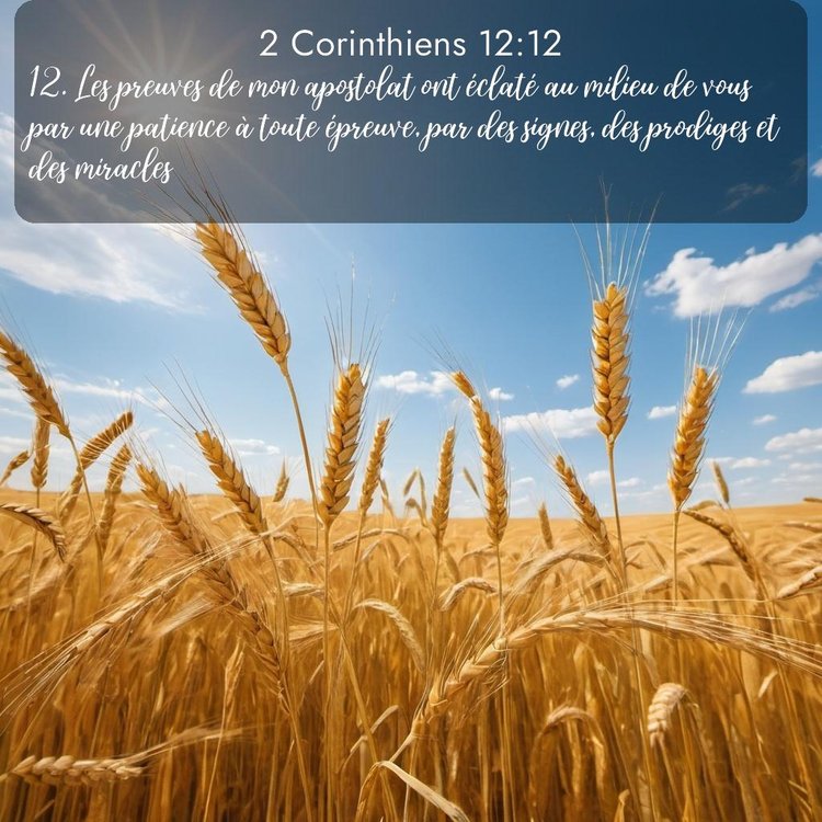 image nature avec verset biblique de la Bible
