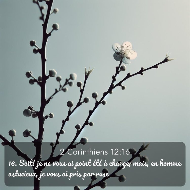 Segond 2 Corinthiens 12:16