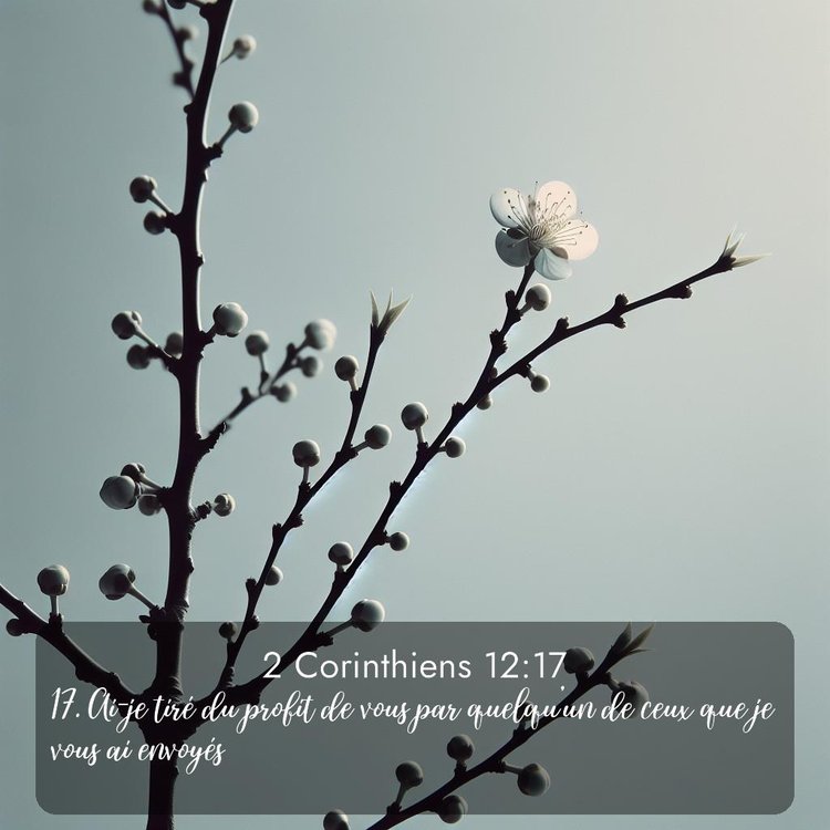 Segond 2 Corinthiens 12:17