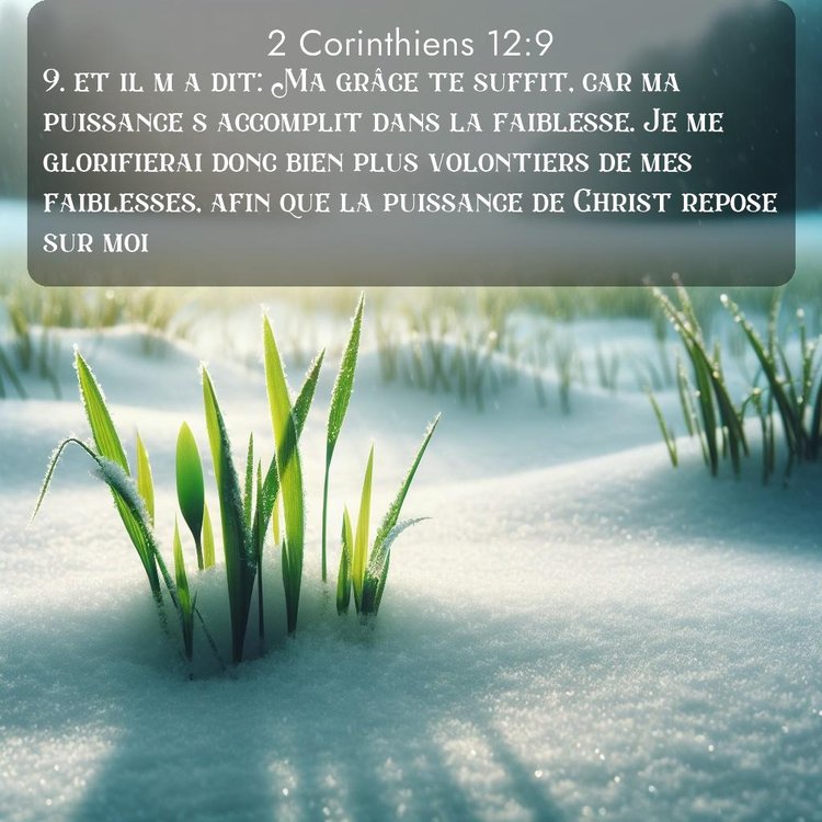 image nature avec verset biblique de la Bible