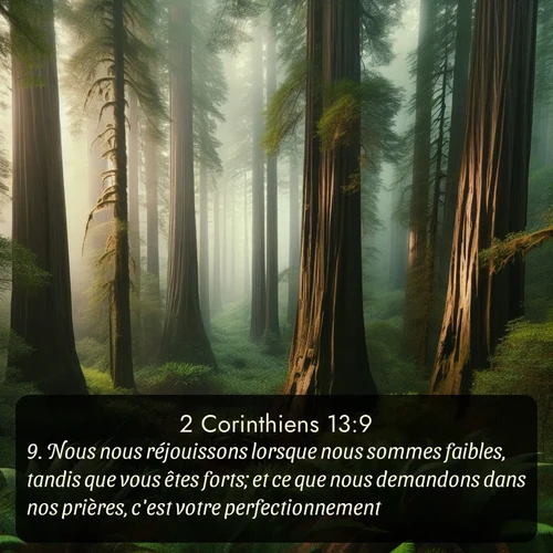 Segond 2 Corinthiens  ; image nature: image avec le verset biblique :Nous nous réjouissons lorsque nous sommes faibles, tandis que vous êtes forts; et ce que nous demandons dans nos prières, c&#039;est votre perfectionnement. ;  ; 13:9