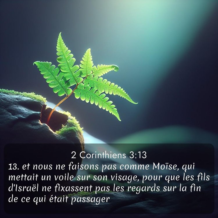 image nature avec verset biblique de la Bible