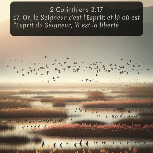 Segond 2 Corinthiens  ; image nature: image avec le verset biblique :Or, le Seigneur c&#039;est l&#039;Esprit; et là où est l&#039;Esprit du Seigneur, là est la liberté. ;  ; 3:17