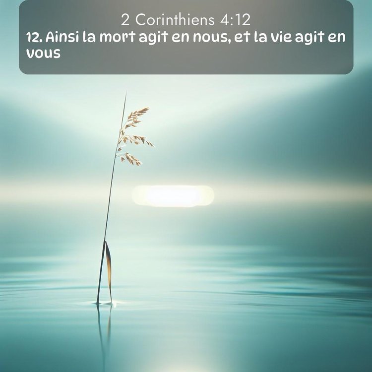 image nature avec verset biblique de la Bible