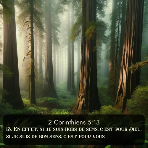 Segond 2 Corinthiens  ; image nature: image avec le verset biblique :En effet, si je suis hors de sens, c&#039;est pour Dieu; si je suis de bon sens, c&#039;est pour vous. ;  ; 5:13