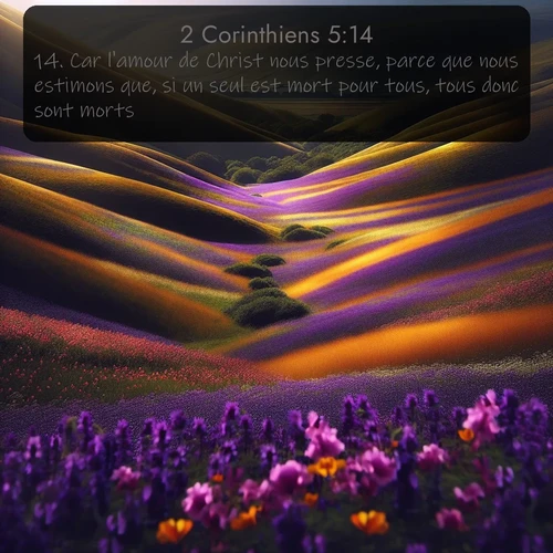 Segond 2 Corinthiens  ; image nature: image avec le verset biblique :Car l&#039;amour de Christ nous presse, parce que nous estimons que, si un seul est mort pour tous, tous donc sont morts; ;  ; 5:14