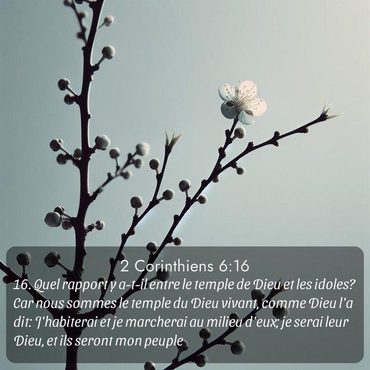 Segond 2 Corinthiens 6:16