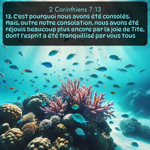 Segond 2 Corinthiens  ; image nature: image avec le verset biblique :C&#039;est pourquoi nous avons été consolés. Mais, outre notre consolation, nous avons été réjouis beaucoup plus encore par la joie de Tite, dont l&#039;esprit a été tranquillisé par vous tous. ;  ; 7:13