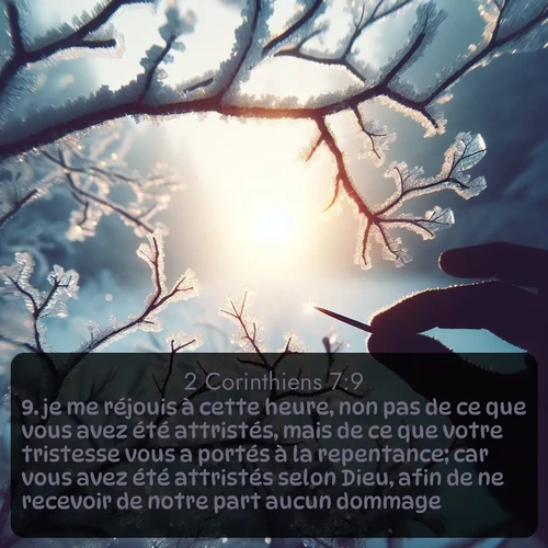 Segond 2 Corinthiens  ; image nature: image avec le verset biblique :je me réjouis à cette heure, non pas de ce que vous avez été attristés, mais de ce que votre tristesse vous a portés à la repentance; car vous avez été attristés selon Dieu, afin de ne recevoir de notre part aucun dommage. ;  ; 7:9