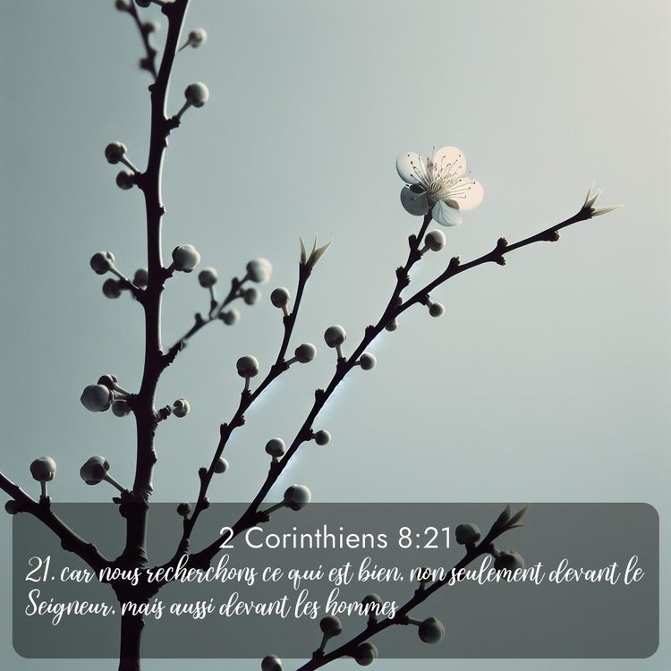 Segond 2 Corinthiens 8:21