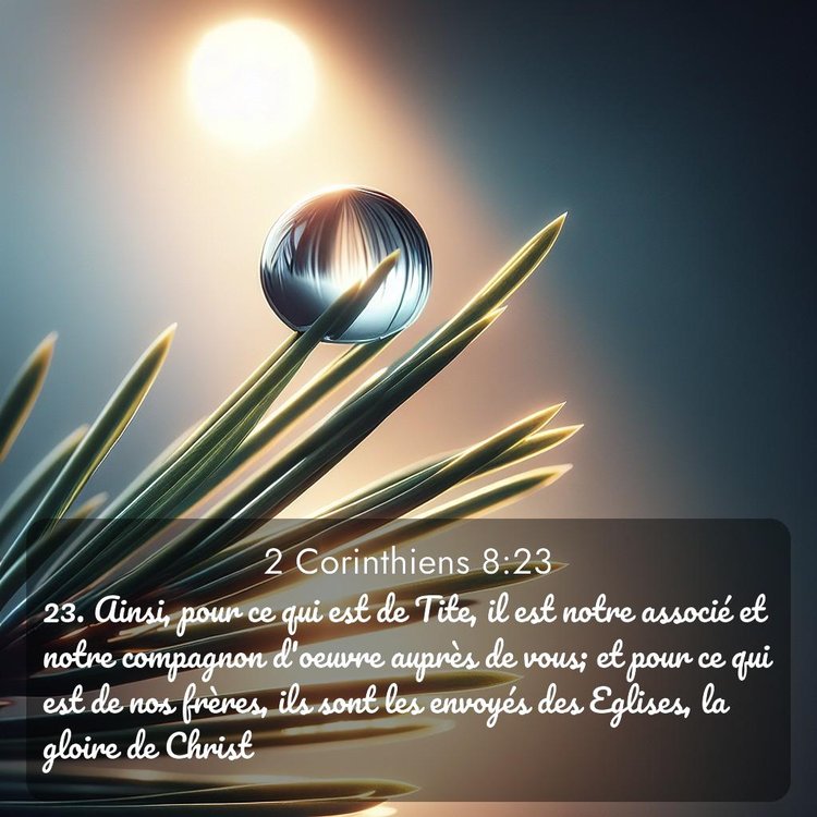 image nature avec verset biblique de la Bible