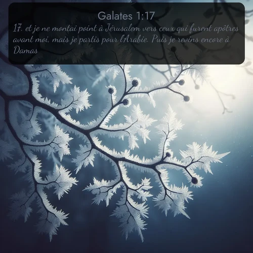 Segond Galates  ; image nature: image avec le verset biblique :et je ne montai point à Jérusalem vers ceux qui furent apôtres avant moi, mais je partis pour l&#039;Arabie. Puis je revins encore à Damas. ;  ; 1:17