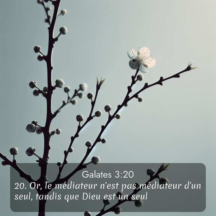 image nature avec verset biblique de la Bible