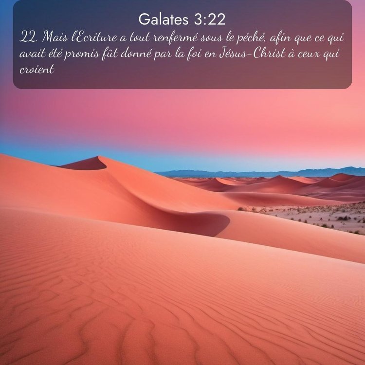 Segond Galates 3:22