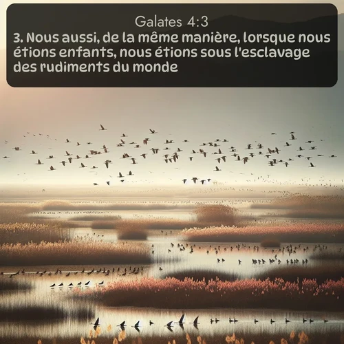 Segond Galates  ; image nature: image avec le verset biblique :Nous aussi, de la même manière, lorsque nous étions enfants, nous étions sous l&#039;esclavage des rudiments du monde; ;  ; 4:3
