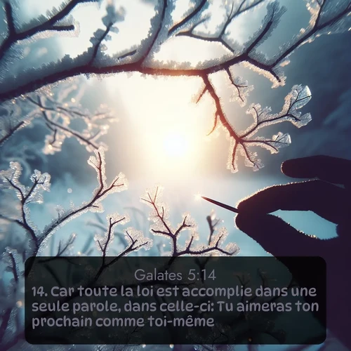 Segond Galates  ; image nature: image avec le verset biblique :Car toute la loi est accomplie dans une seule parole, dans celle-ci: Tu aimeras ton prochain comme toi-même. ;  ; 5:14