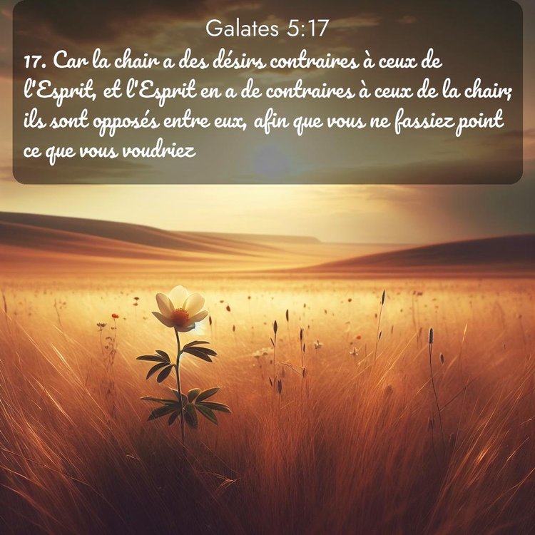 image nature avec verset biblique de la Bible