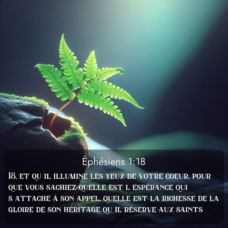 Segond Éphésiens 1:18