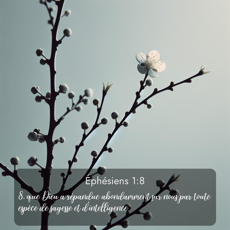 Segond Éphésiens 1:8