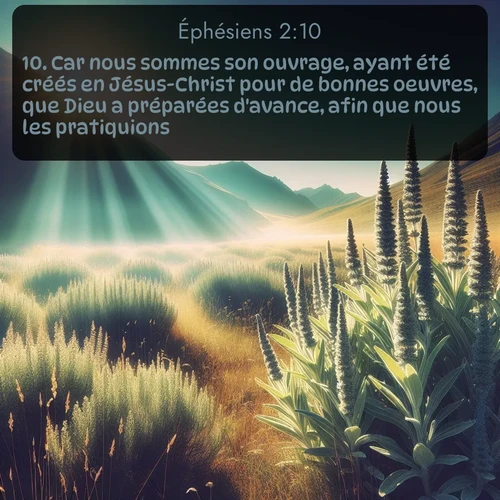Segond Éphésiens  ; image nature: image avec le verset biblique :Car nous sommes son ouvrage, ayant été créés en Jésus-Christ pour de bonnes oeuvres, que Dieu a préparées d&#039;avance, afin que nous les pratiquions. ;  ; 2:10