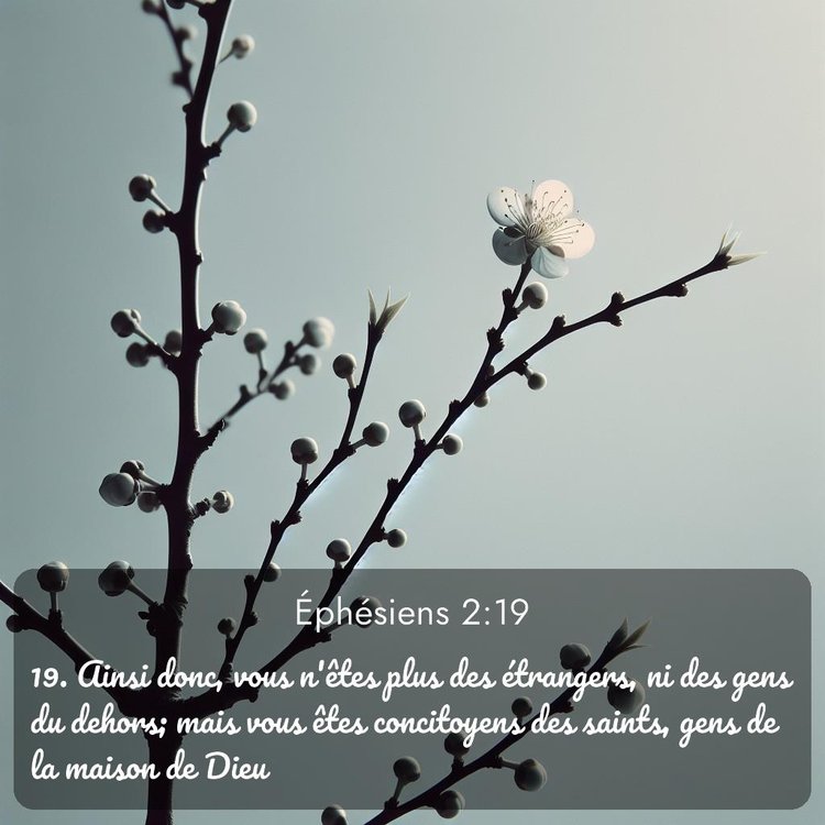 image nature avec verset biblique de la Bible