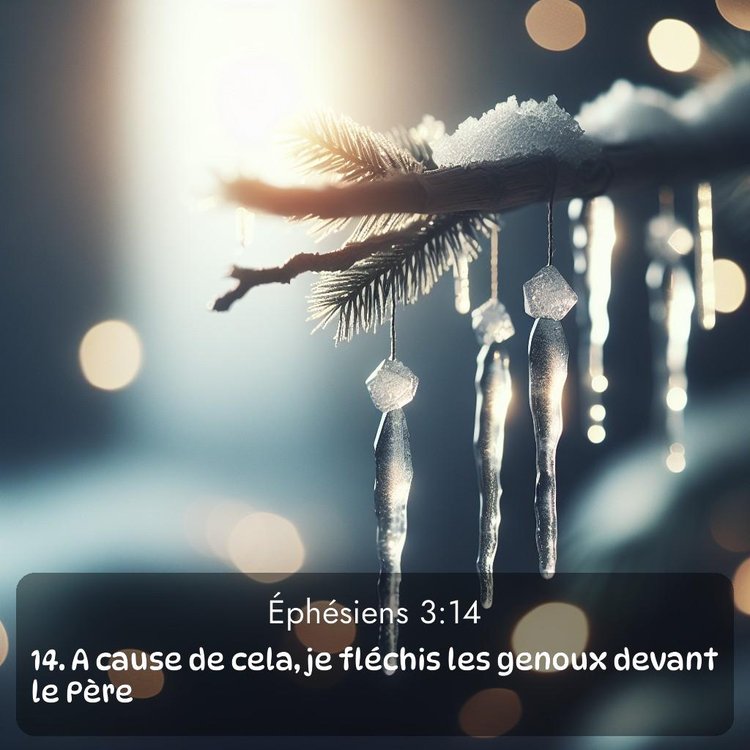 Segond Éphésiens 3:14