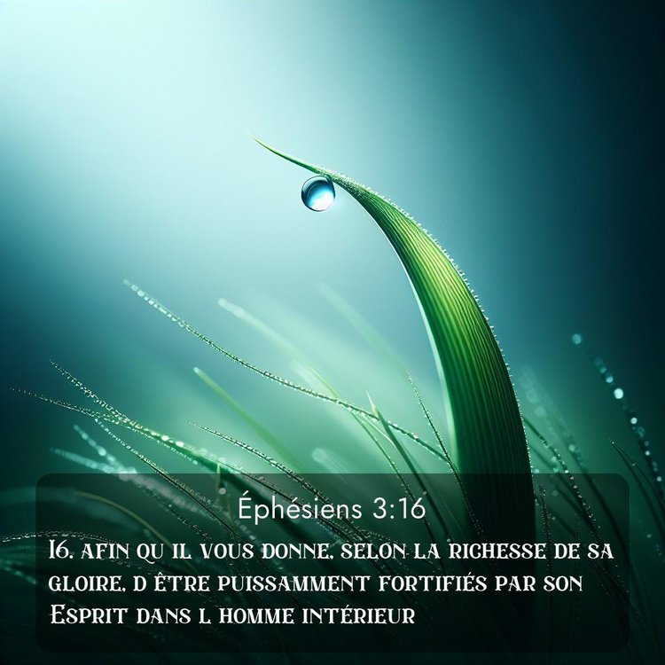 Segond Éphésiens 3:16