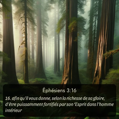 Segond Éphésiens  ; image nature: image avec le verset biblique :afin qu&#039;il vous donne, selon la richesse de sa gloire, d&#039;être puissamment fortifiés par son Esprit dans l&#039;homme intérieur, ;  ; 3:16