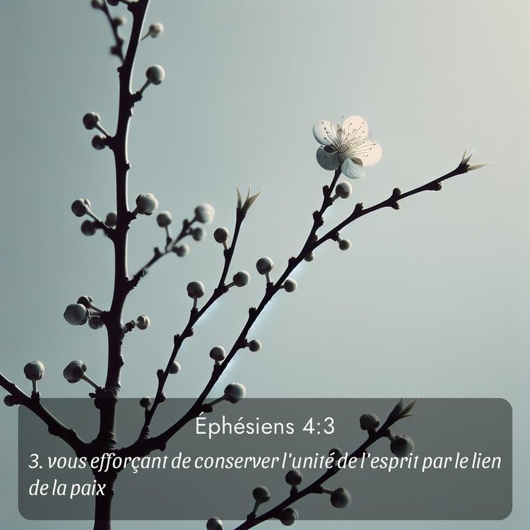image nature avec verset biblique de la Bible