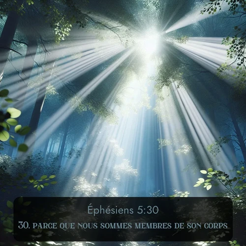 Segond Éphésiens  ; image nature: image avec le verset biblique :parce que nous sommes membres de son corps. ;  ; 5:30