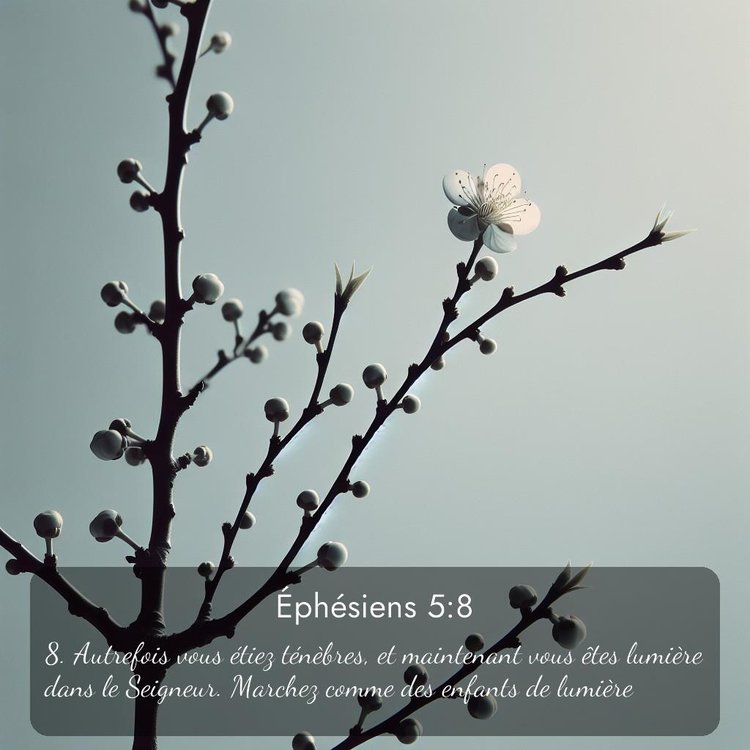 image nature avec verset biblique de la Bible