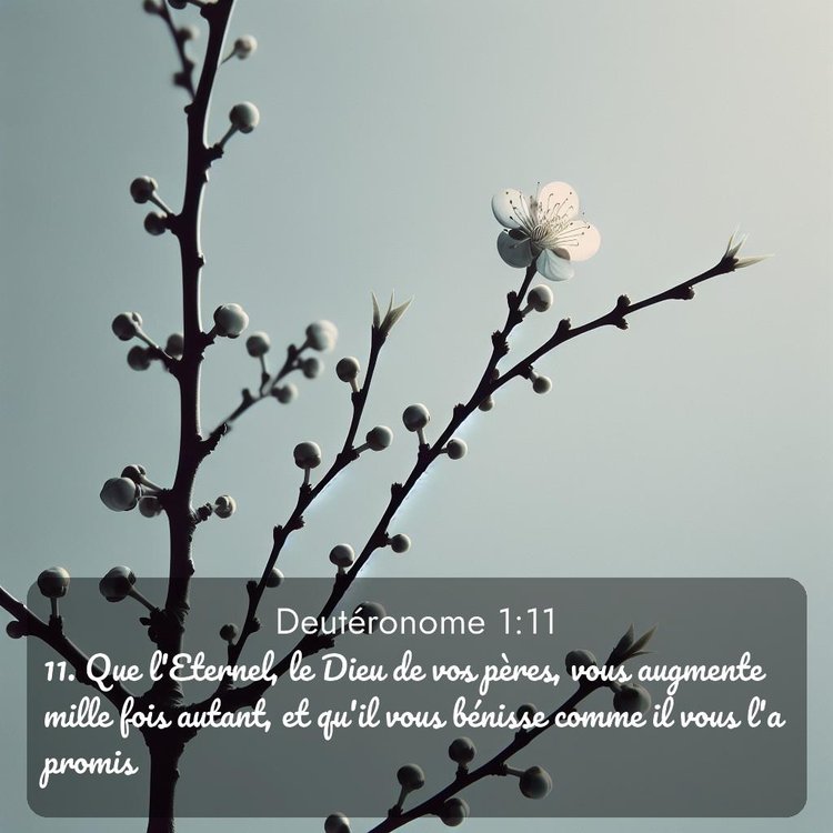 Segond Deutéronome 1:11