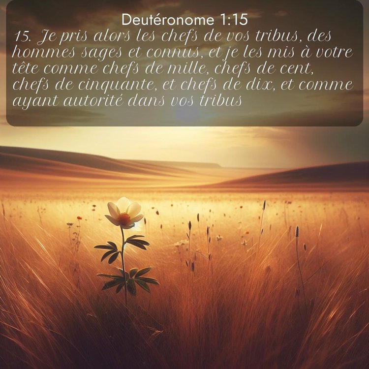 Segond Deutéronome 1:15