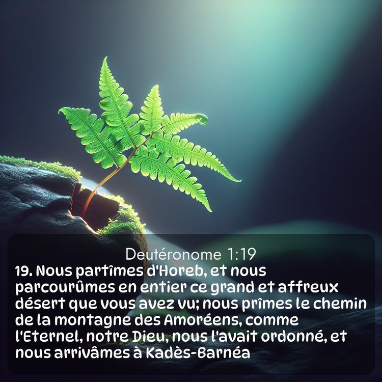 Segond Deutéronome 1:19