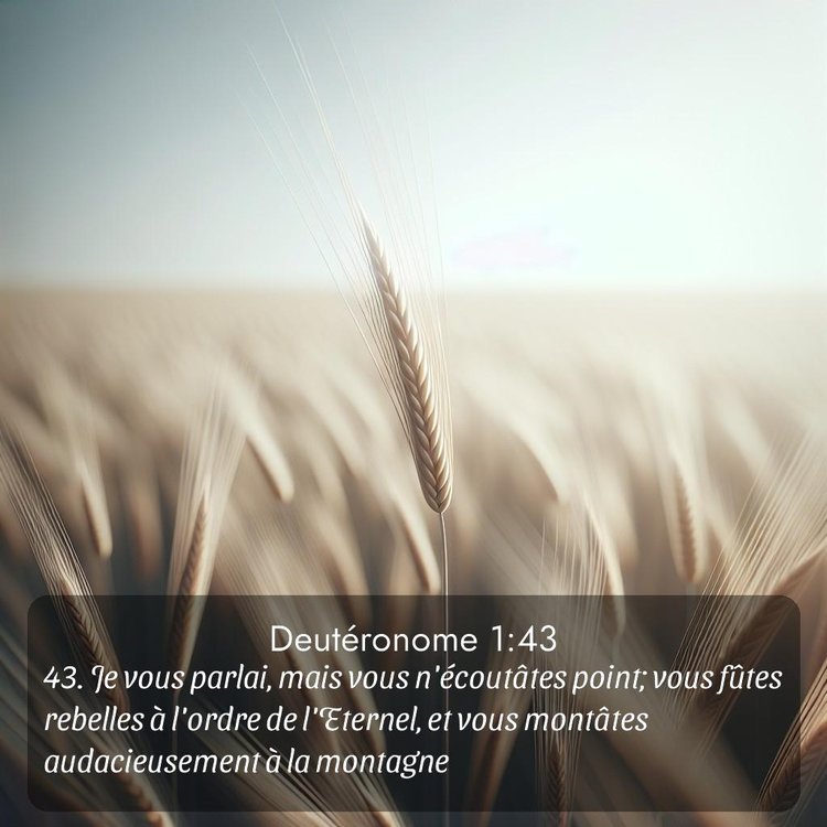 Segond Deutéronome 1:43