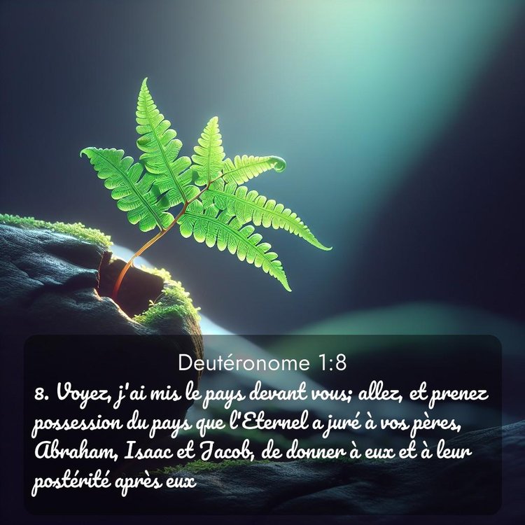 image nature avec verset biblique de la Bible
