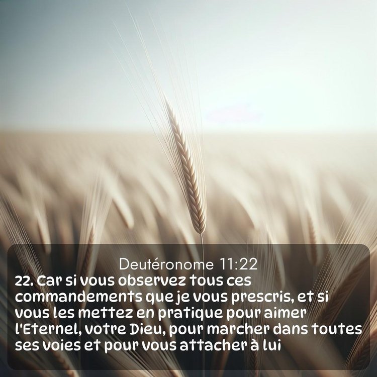 image nature avec verset biblique de la Bible