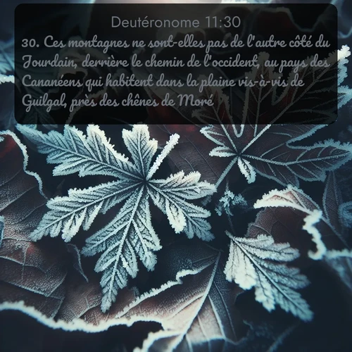 Segond Deutéronome  ; image nature: image avec le verset biblique :Ces montagnes ne sont-elles pas de l&#039;autre côté du Jourdain, derrière le chemin de l&#039;occident, au pays des Cananéens qui habitent dans la plaine vis-à-vis de Guilgal, près des chênes de Moré? ;  ; 11:30