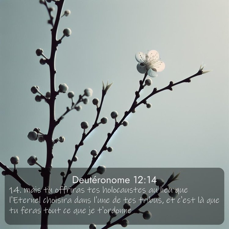 image nature avec verset biblique de la Bible
