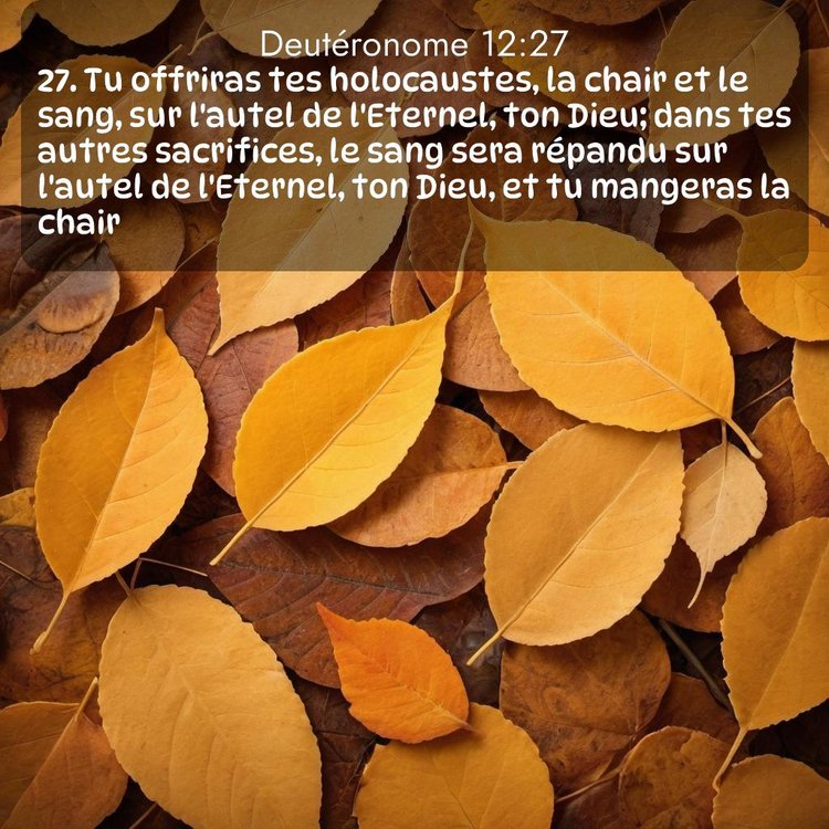 Segond Deutéronome 12:27