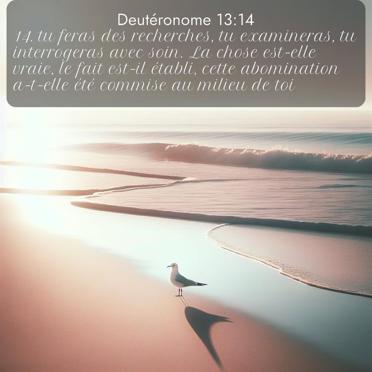 Segond Deutéronome 13:14