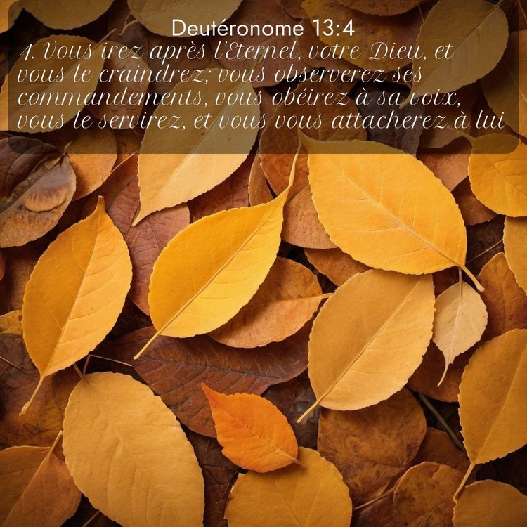 Segond Deutéronome 13:4