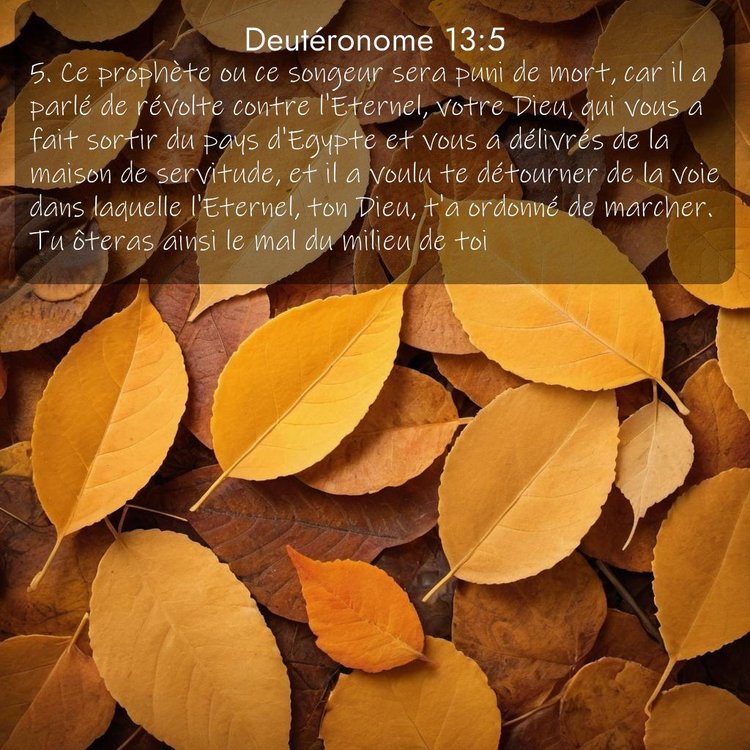 Segond Deutéronome 13:5