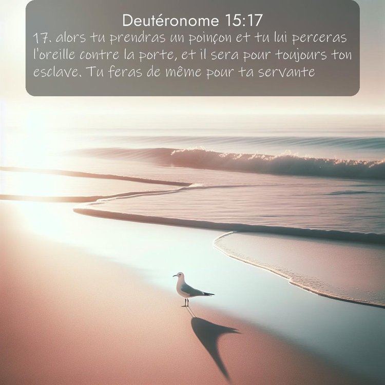 image nature avec verset biblique de la Bible