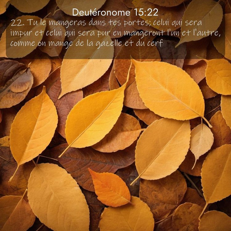 image nature avec verset biblique de la Bible