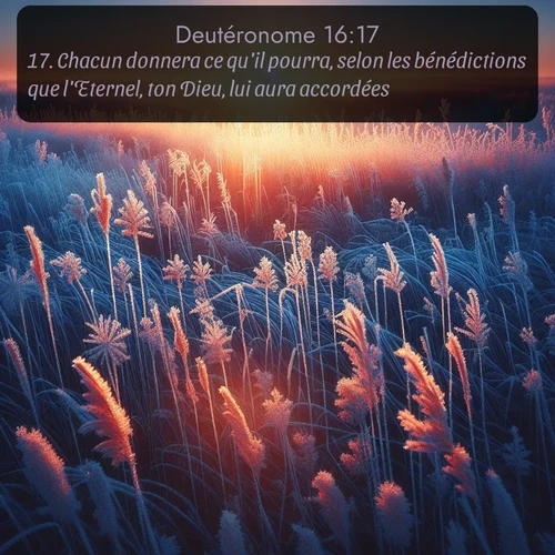 Segond Deutéronome  ; image nature: image avec le verset biblique :Chacun donnera ce qu&#039;il pourra, selon les bénédictions que l&#039;Eternel, ton Dieu, lui aura accordées. ;  ; 16:17