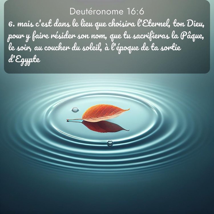 image nature avec verset biblique de la Bible