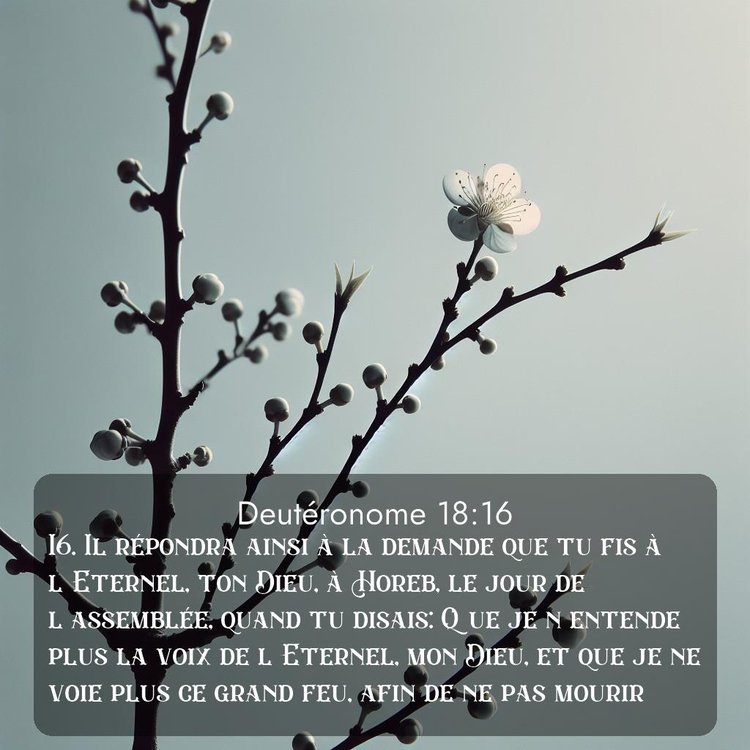 Segond Deutéronome 18:16